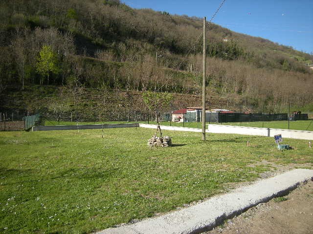 Giardino